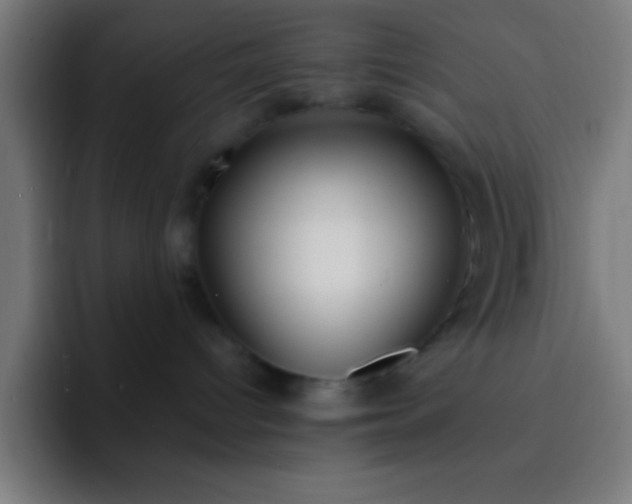 X0000093090096200710031819