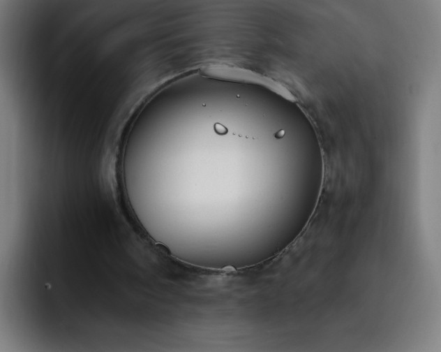 X0000093090098200710031819