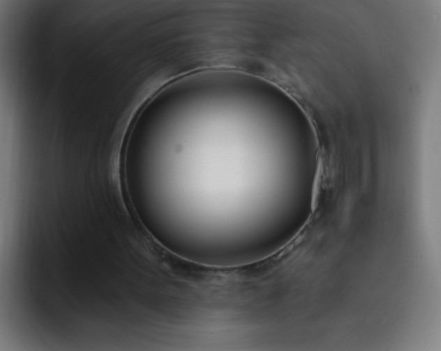 X0000093090099200710031819