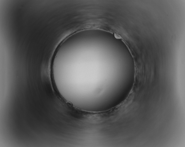 X0000093090100200710031819