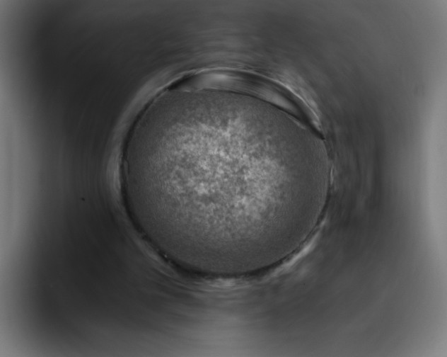 X0000093090101200710031819