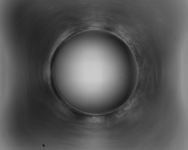 X0000093090102200710031819