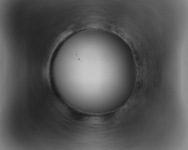 X0000093090104200710031819