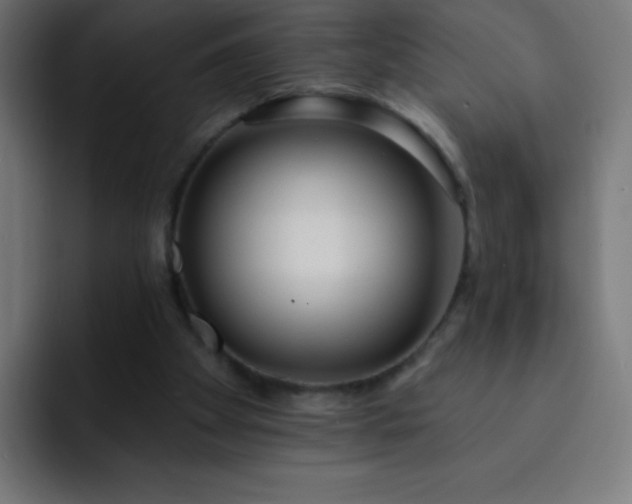 X0000093090105200710031819