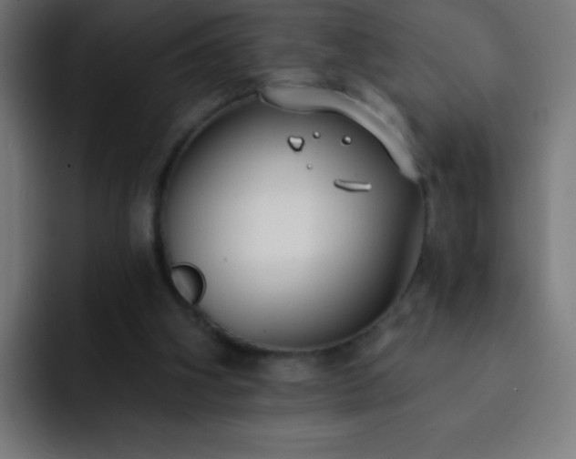 X0000093090106200710031819