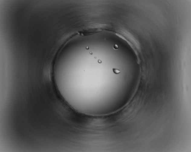 X0000093090107200710031819