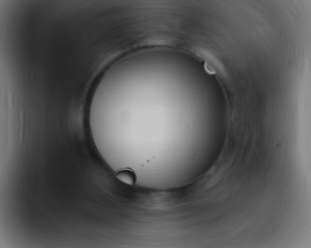 X0000093090108200710031819