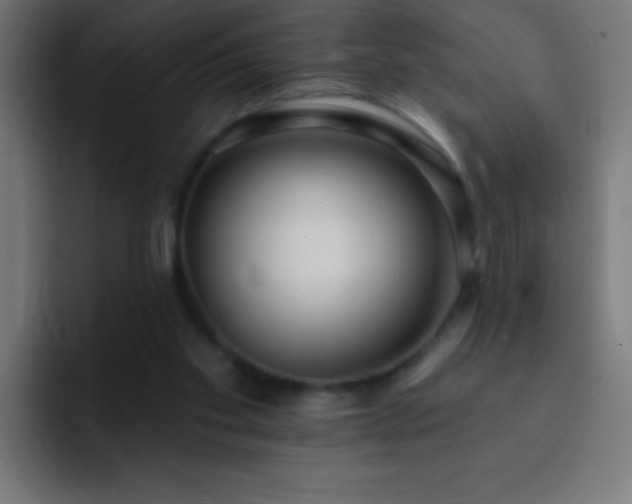 X0000093090109200710031819