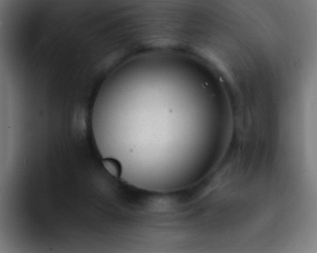 X0000093090115200710031819