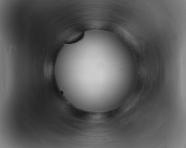 X0000093090118200710031819