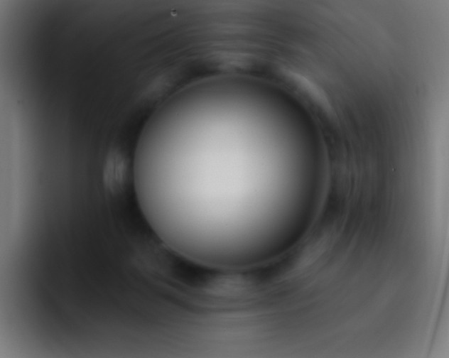 X0000093090123200710031819