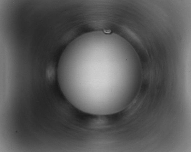 X0000093090124200710031819