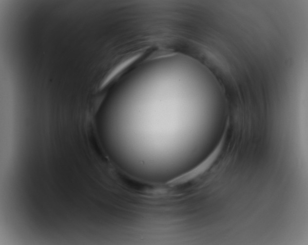 X0000093090129200710031819