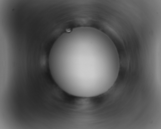 X0000093090132200710031819