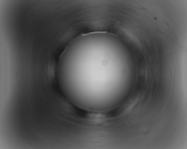 X0000093090133200710031819