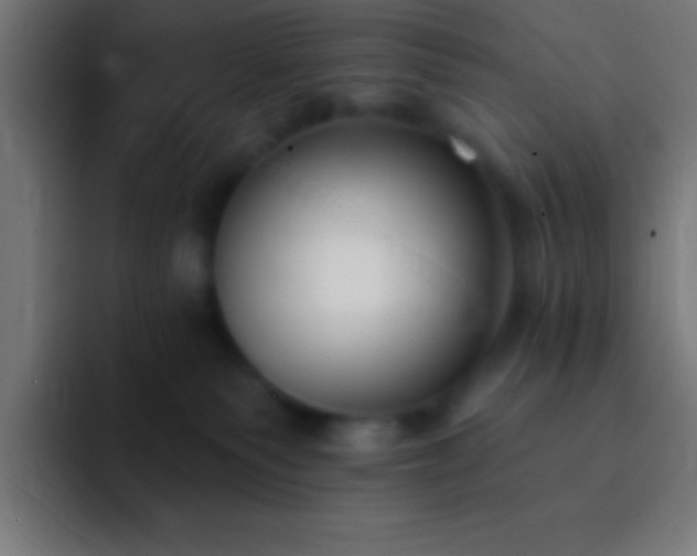 X0000093090135200710031818