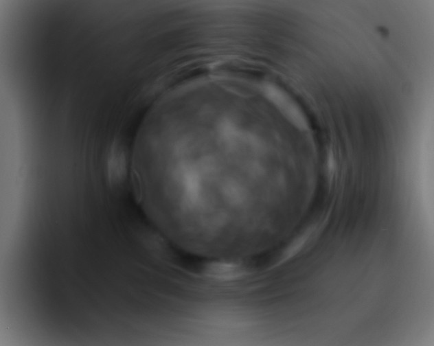 X0000093090139200710031818