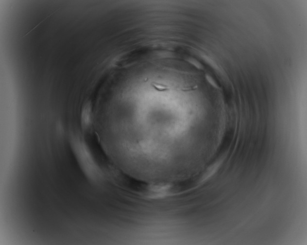 X0000093090143200710031818