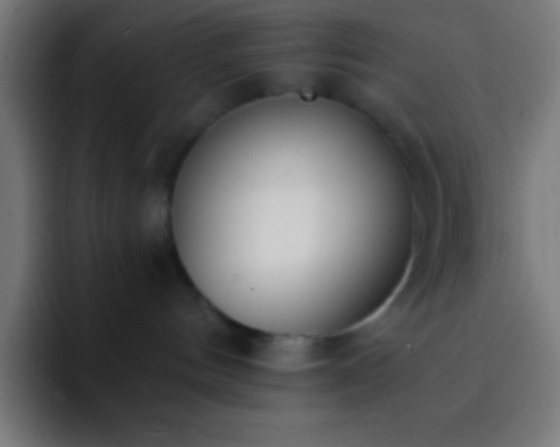 X0000093090144200710031818