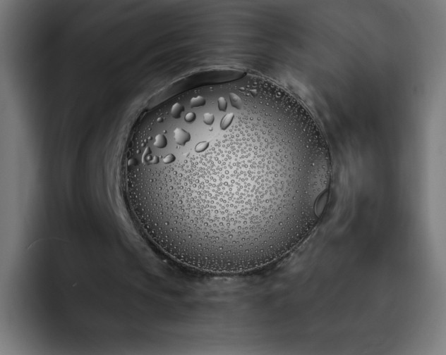 X0000093090145200710031818