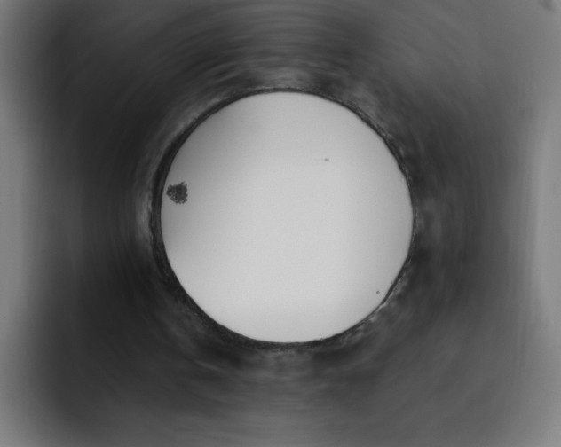 X0000093090146200710031818