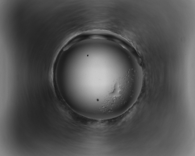 X0000093090148200710031818