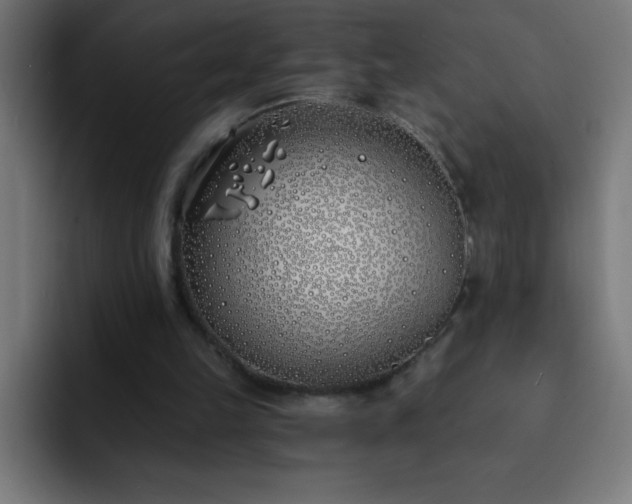 X0000093090149200710031818