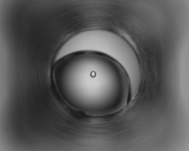 X0000093090154200710031818