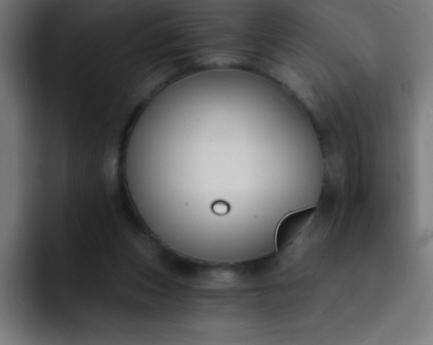 X0000093090159200710031818