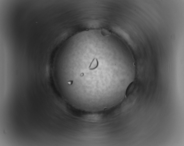 X0000093090161200710031818