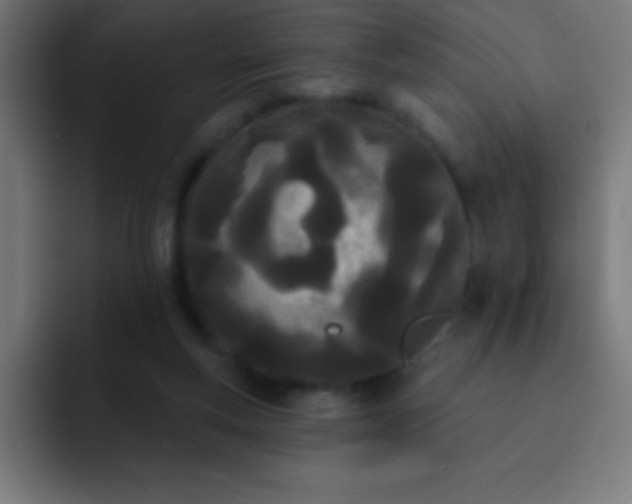 X0000093090163200710031818