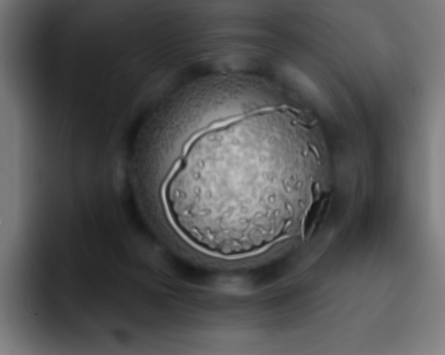 X0000093090169200710031818