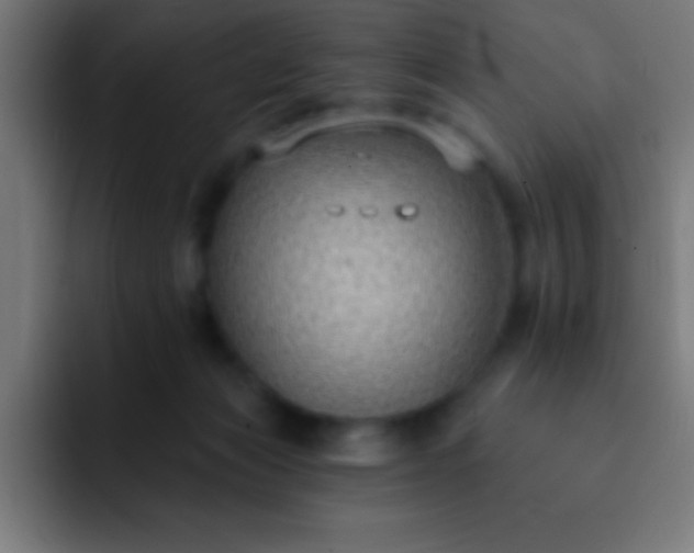 X0000093090173200710031818