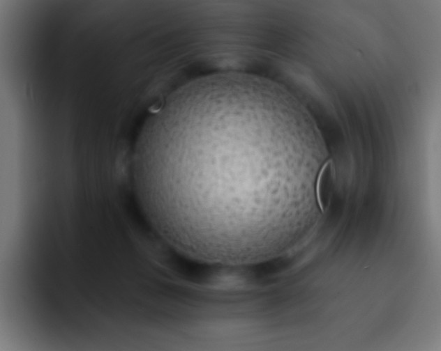 X0000093090175200710031818