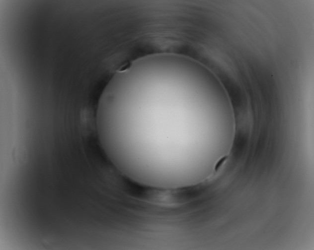 X0000093090182200710031818