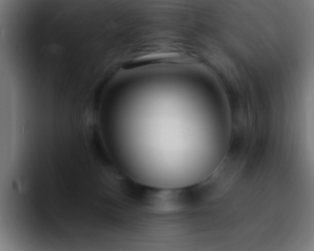 X0000093090184200710031818