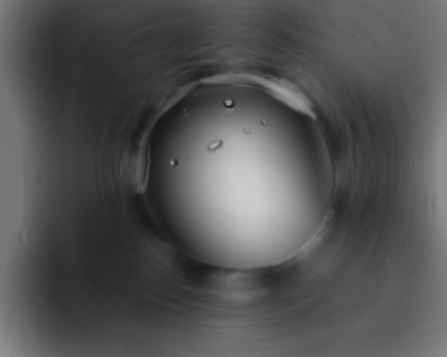 X0000093090186200710031818