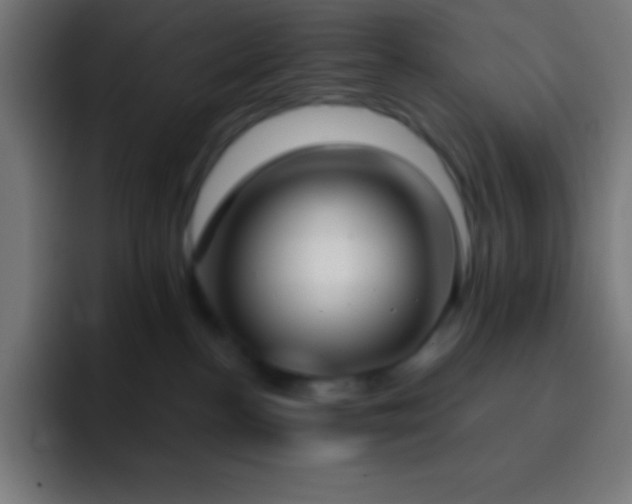 X0000093090188200710031818