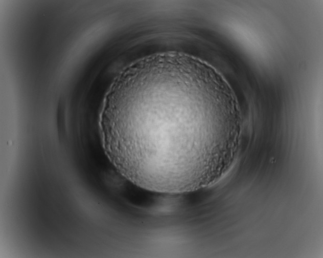 X0000093090191200710031818