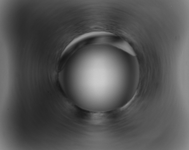 X0000093090192200710031818