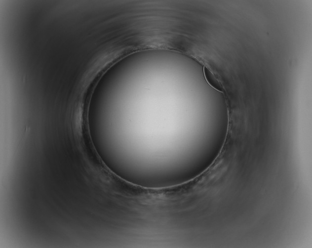 X0000093090194200710031818