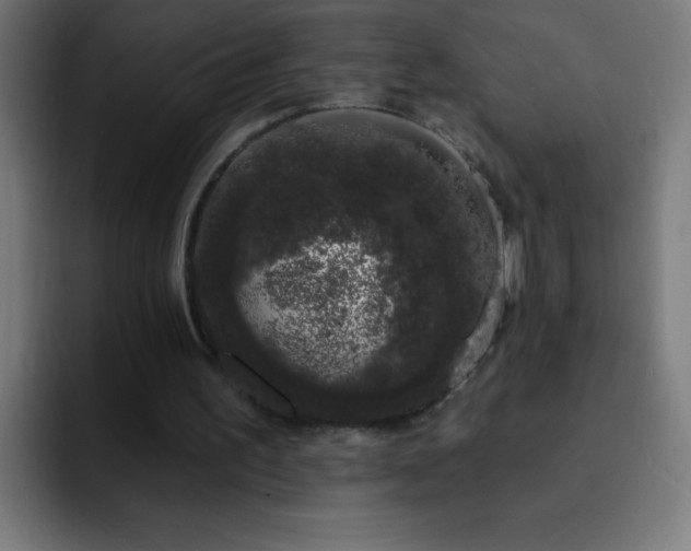 X0000093090195200710031818