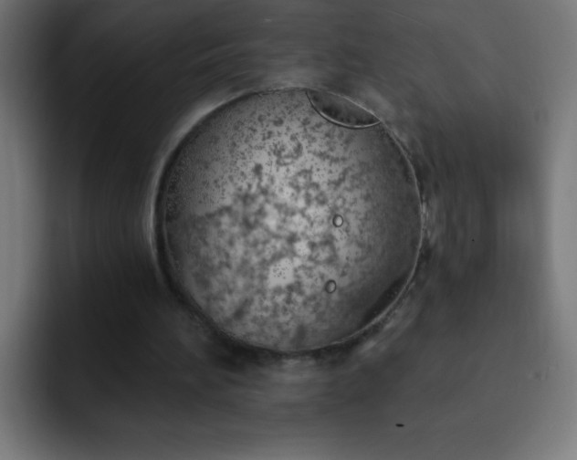 X0000093090196200710031818