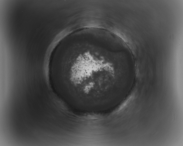 X0000093090199200710031818