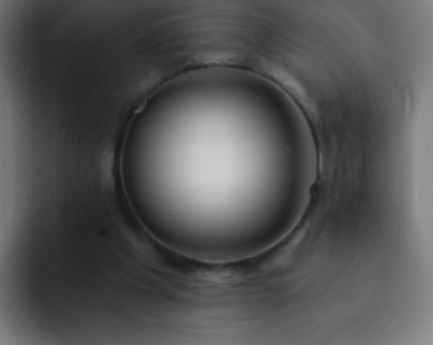 X0000093090201200710031818