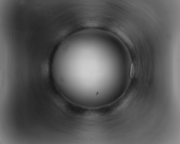 X0000093090207200710031818