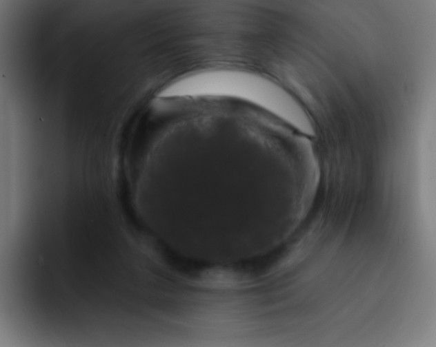 X0000093090211200710031818