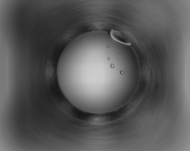 X0000093090220200710031818