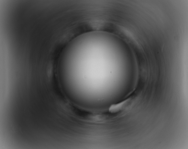 X0000093090221200710031817