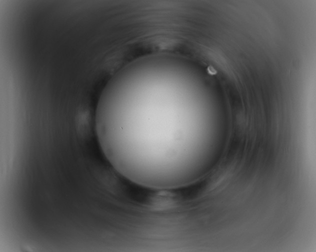 X0000093090222200710031817